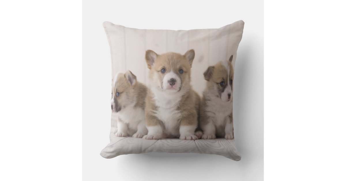 Corgi Dog Original Art Decorative Pillow, Abstract Throw Pillow