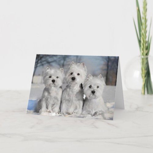 Three Westies in the Snow Card