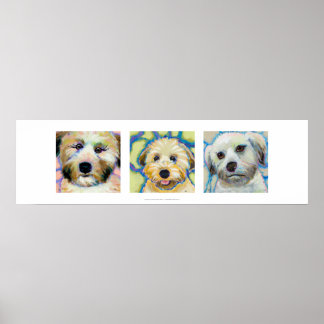 Three Wheaten Terrier paintings fun cute dog art Poster