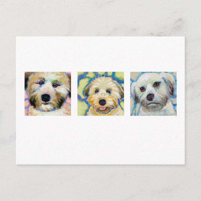 Three Wheaten Terrier paintings - fun dog art Postcard (Front)