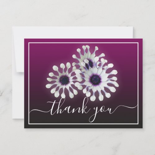 Three White Daisies Purple Background Thank You Postcard