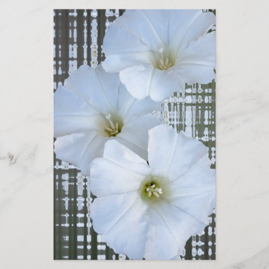 three white flowers (Front)
