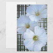 three white flowers (Front/Back)