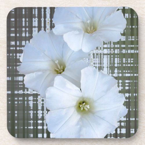 three white flowers beverage coaster