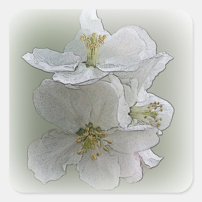 three white flowers square sticker (Front)