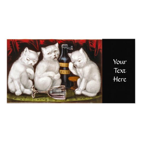 Three white kittens with hangovers card