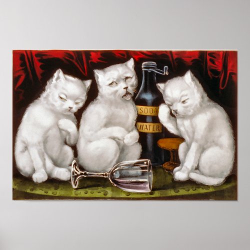 Three white kittens with hangovers poster