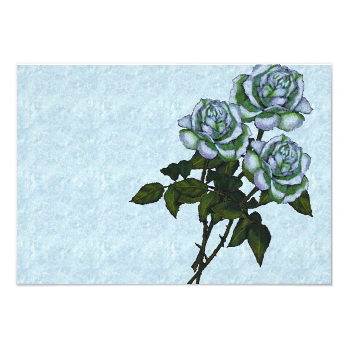 Three White Roses Color Pencil Art Floral Custom Announcement