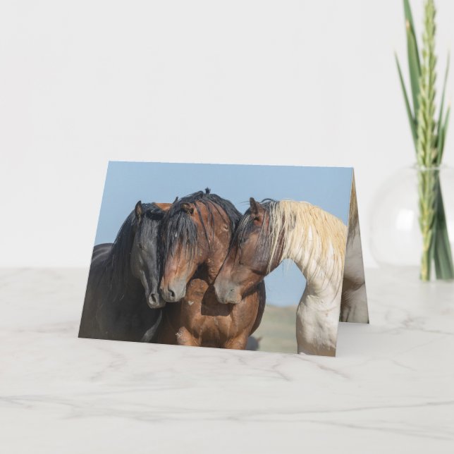 Three Wild Bachelor Stallions Greeting Card (Front)