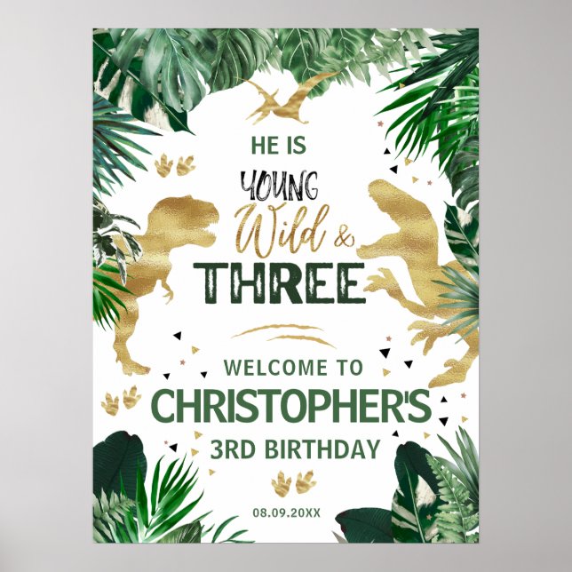 Three Wild Dinosaur kids  Birthday Party welcome Poster (Front)