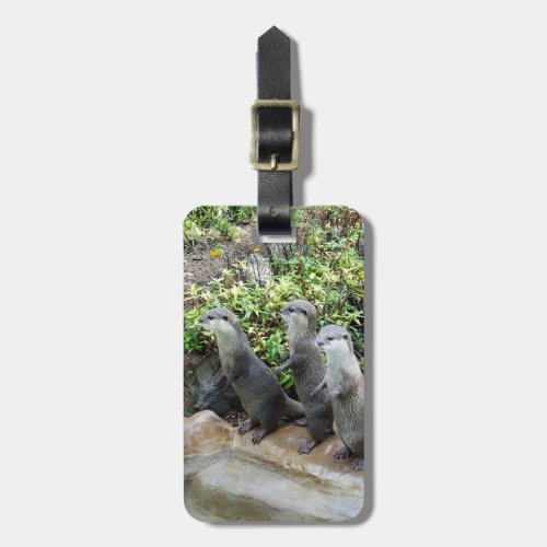 Three Wise Otters Luggage Tag