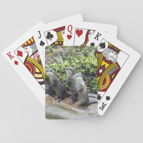 Three Wise Standing Otters Poker Cards