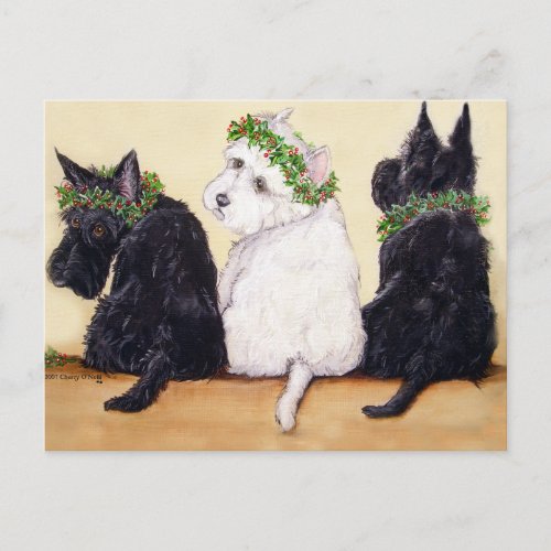 Three Wise Terriers Postcard