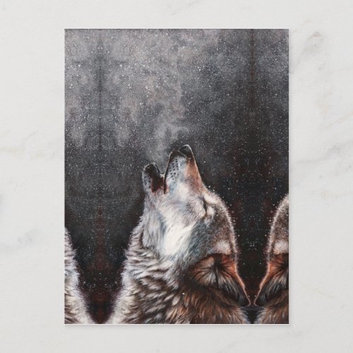 Three Wolves Howling Postcard