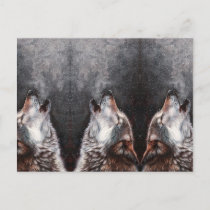 Three Wolves Howling Postcard