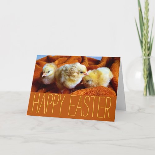 Three Yellow Chicks Yellow  Orange Easter Card