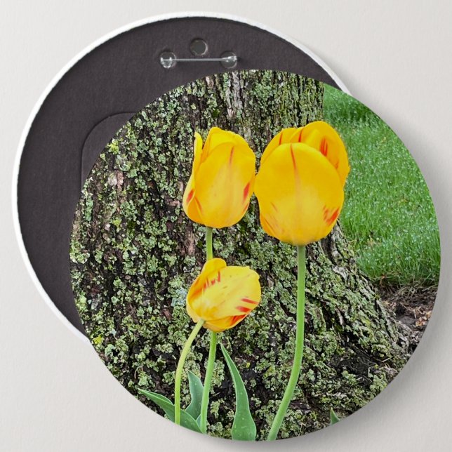 Three Yellow Tulips / Button (Front & Back)