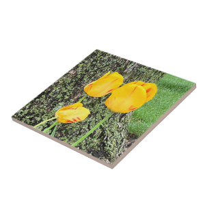 Three Yellow Tulips / Ceramic Tile
