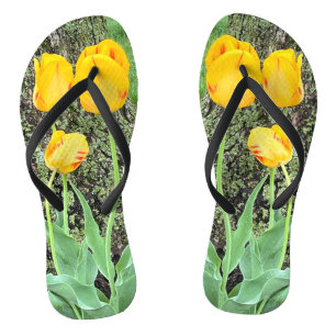 Three Yellow Tulips / Flip Flops