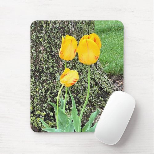 Three Yellow Tulips  Mouse Pad