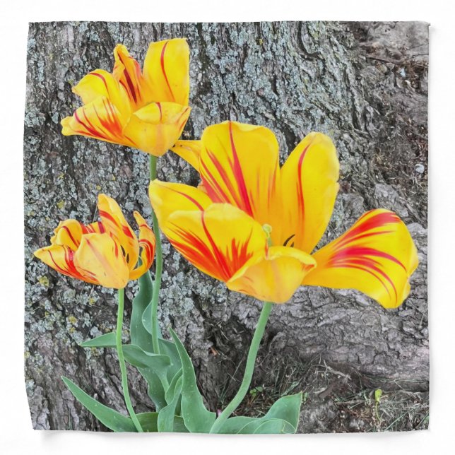 Three Yellow Tulips Sequel /  Bandana (Front)