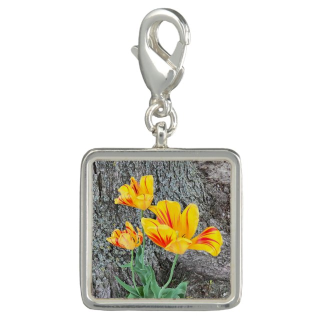 Three Yellow Tulips Sequel /  Charm (Front)