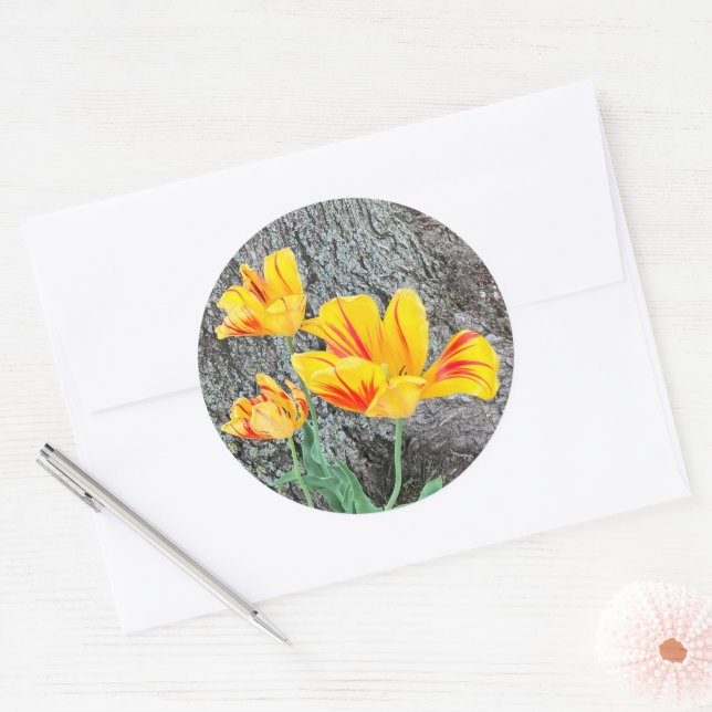 Three Yellow Tulips Sequel /  Classic Round Sticker (Envelope)
