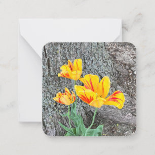 Three Yellow Tulips Sequel / Flat Note Card