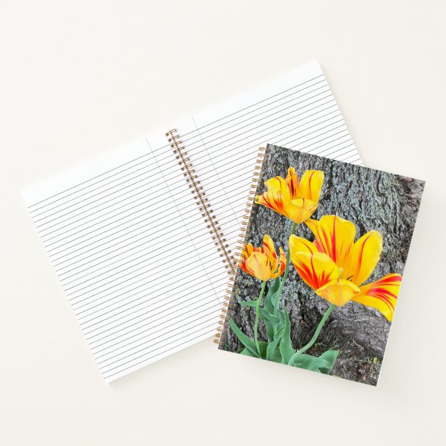 Three Yellow Tulips Sequel / Journal (Inside)