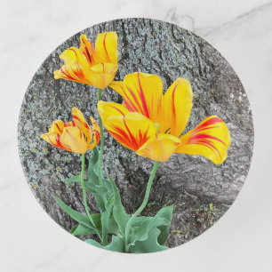 Three Yellow Tulips Sequel / Trinket Tray