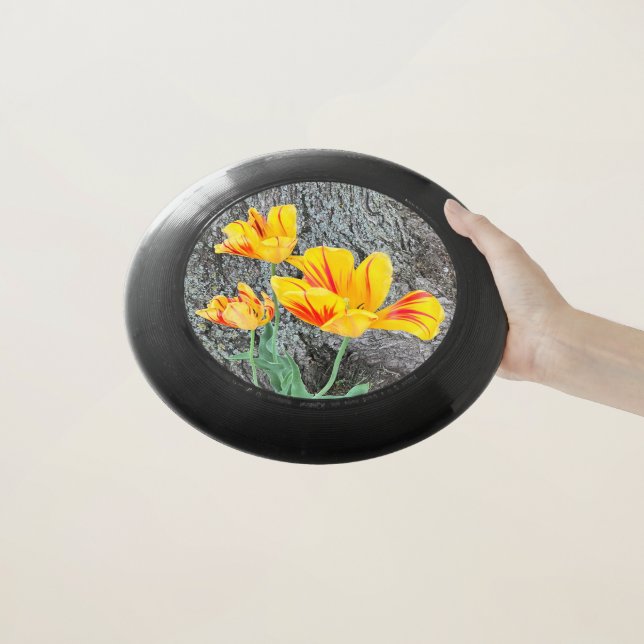 Three Yellow Tulips Sequel / Wham-O Frisbee (In Hand)