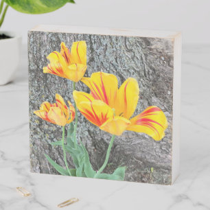 Three Yellow Tulips Sequel / Wooden Box Sign