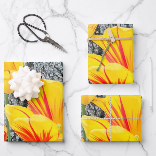 Three Yellow Tulips Sequel /  Wrapping Paper Sheets (Front)