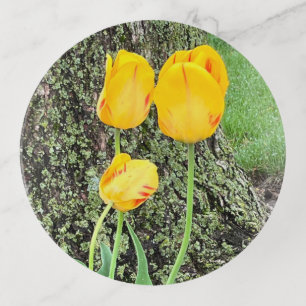 Three Yellow Tulips / Trinket Tray