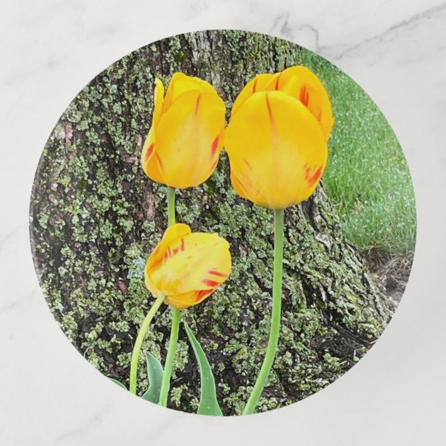 Three Yellow Tulips / Trinket Tray (Front)