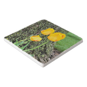 Three Yellow Tulips / Trivet