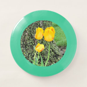 Three Yellow Tulips / Wham-O Frisbee
