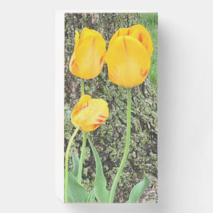 Three Yellow Tulips / Wooden Box Sign