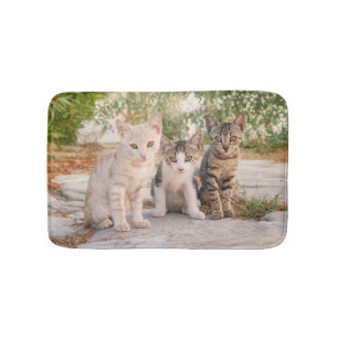 Three young cute cat kittens sit friendly together bath mat