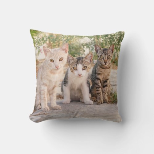 Three young cute cat kittens sit friendly together throw pillow
