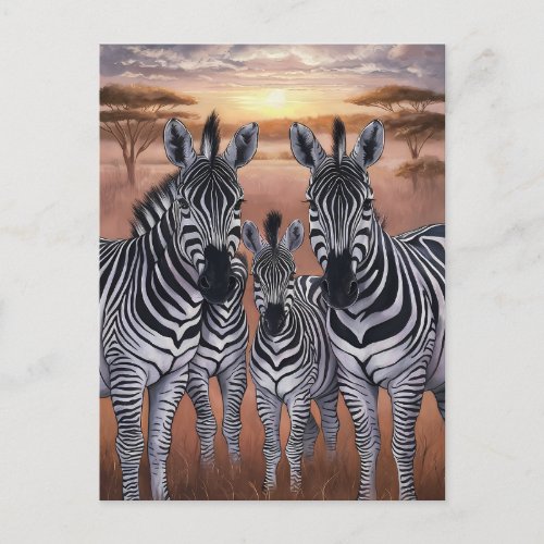 Three Zebras Grazing in Meadow Postcard
