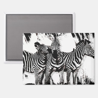 Three Zebras Painting Magnet
