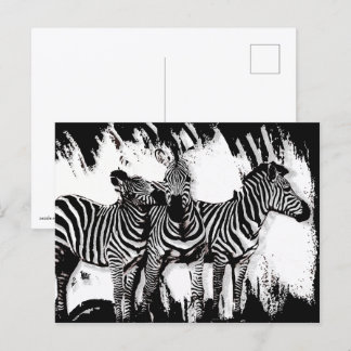 Three Zebras Painting Postcard