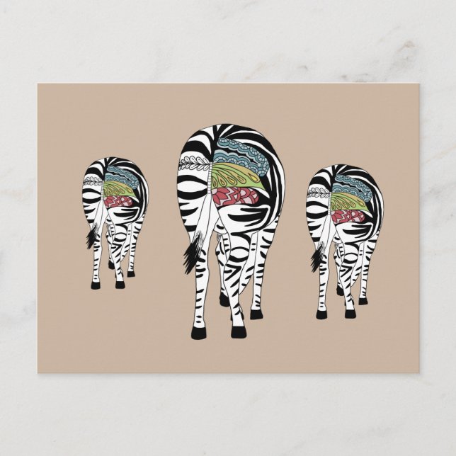 Three zebras postcard (Front)
