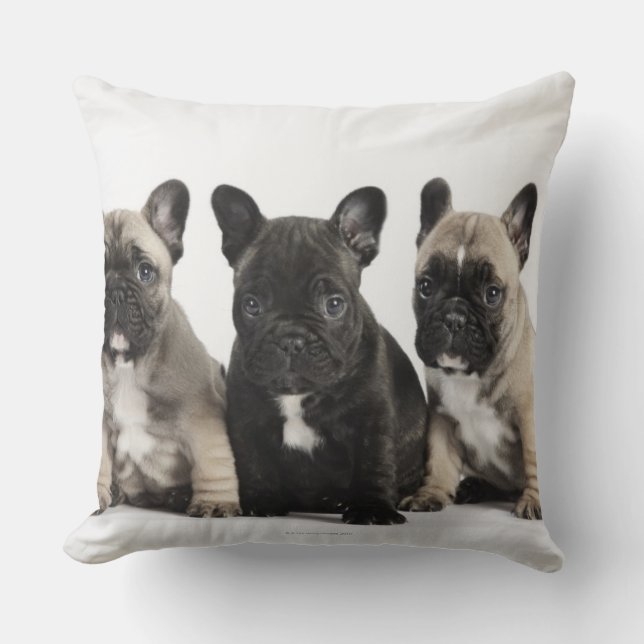 Threee Pedigree Puppies Throw Pillow (Front)