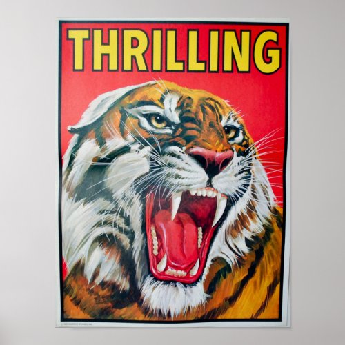 Thrilling Tiger Poster