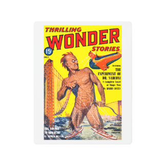 Thrilling Wonder Stories (July, 1940) Metal Print