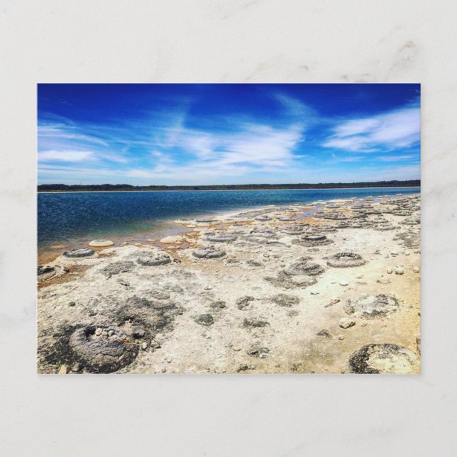 Thrombolites, Lake Thetis Western Australia Postcard (Front)