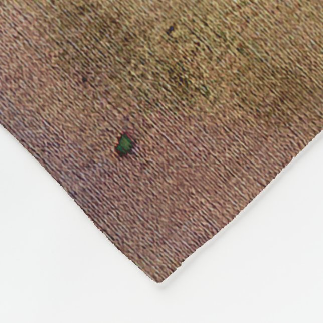 Through a Glass Darkly Fleece Blanket (Corner)