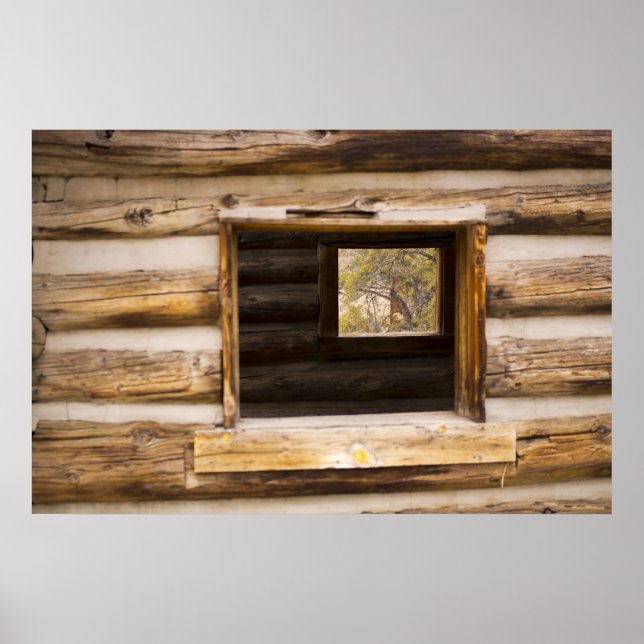 Through and Through Cabin Window Poster (Front)